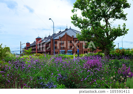 新光中央廣場色彩繽紛的花壇和紅磚倉庫區 新光中央廣場色彩繽紛的花壇和紅磚倉庫區 105591411