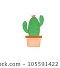 Cactus in a pot  105591422