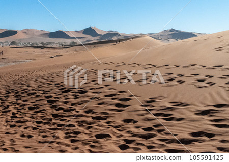 Barren landscape near Deadvlei and sossusvlei Barren landscape near Deadvlei and sossusvlei 105591425