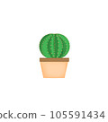 Barrel cactus in a pot 105591434