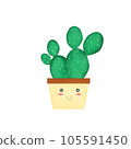 Cute bunny ears cactus in a pot 105591450