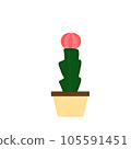 plant, pot, cactus 105591451