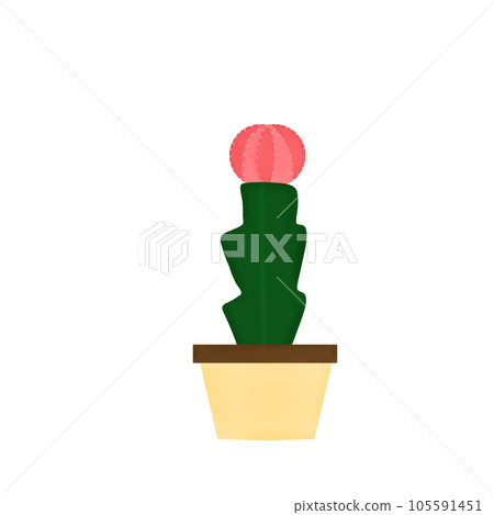 plant, pot, cactus 105591451