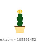 plant, pot, cactus 105591452