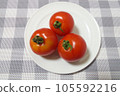 新鮮的西紅柿 105592216