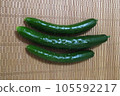 新鮮的黃瓜 105592217