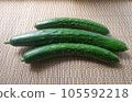 黃瓜 105592218