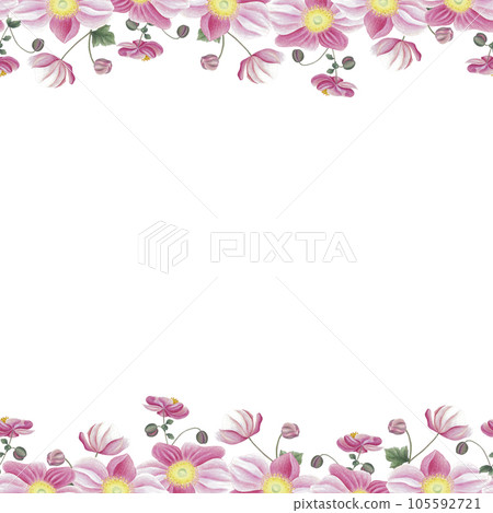 Seamless border and frame with pink anemone, leaves and bud. Hand drawn illustration isolated on white. Botanical background for greeting card, banner, invitation design wallpaper decoration Seamless border and frame with pink anemone, leaves and bud. Hand drawn illustration isolated on white. Botanical background for greeting card, banner, invitation design wallpaper decoration 105592721