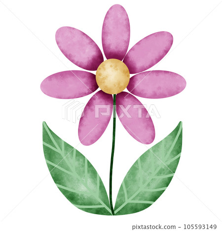 flower  105593149