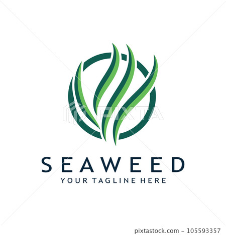 seaweed logo design with vector illustration template 105593357