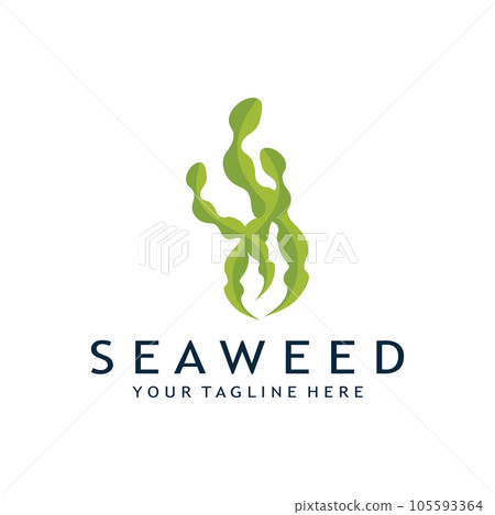 seaweed logo design with vector illustration template seaweed logo design with vector illustration template 105593364