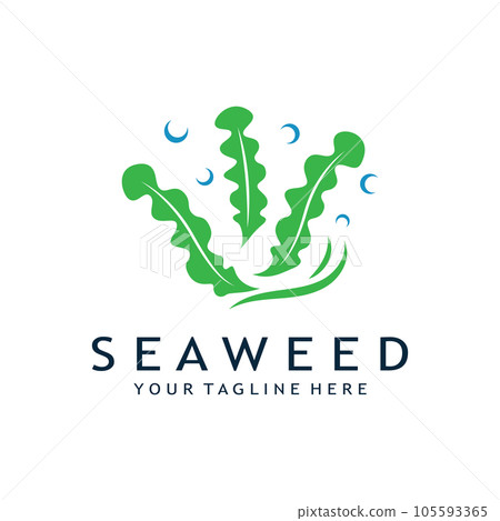 seaweed logo design with vector illustration template seaweed logo design with vector illustration template 105593365