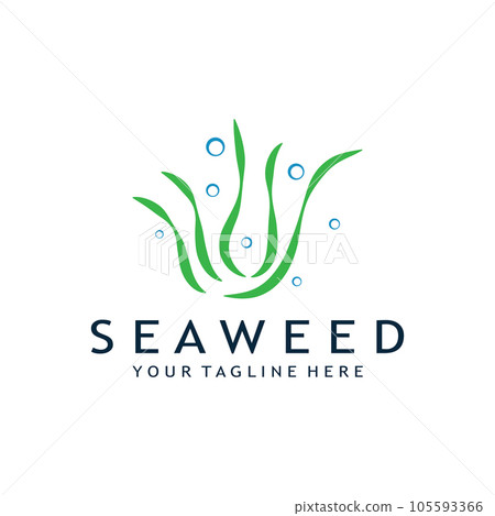 seaweed logo design with vector illustration template seaweed logo design with vector illustration template 105593366