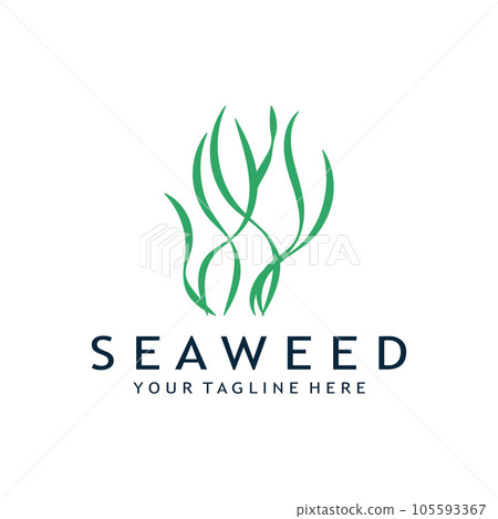 seaweed logo design with vector illustration template seaweed logo design with vector illustration template 105593367