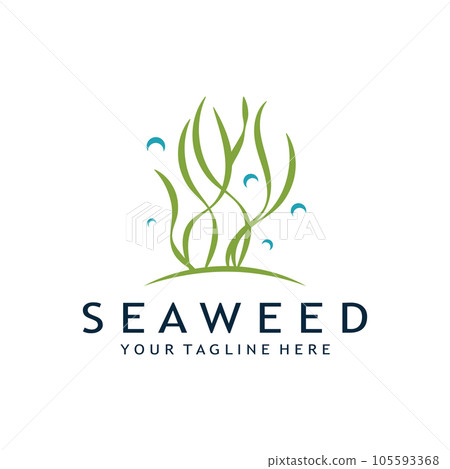 seaweed logo design with vector illustration template seaweed logo design with vector illustration template 105593368