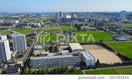 Aerial view of Ebina's rural landscape, paddy fields covered in green 105593810