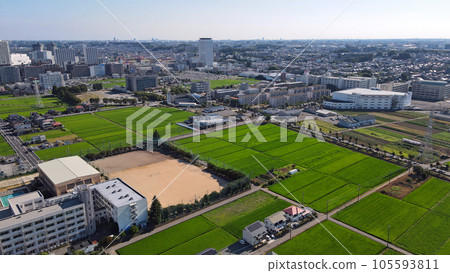 Aerial view of Ebina's rural landscape, paddy fields covered in green 105593811