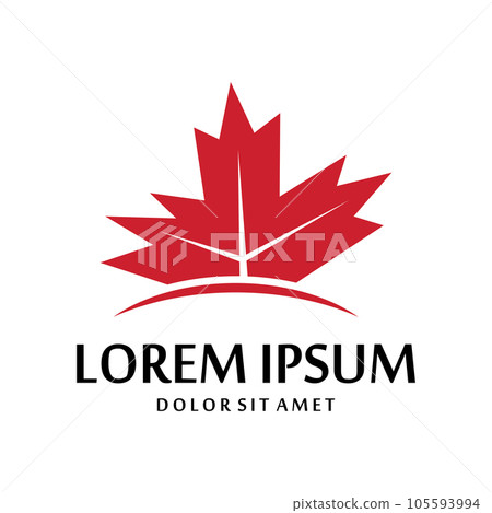 Maple leaf vector illustration Maple leaf vector illustration 105593994