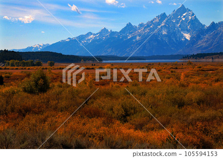 United States Autumn Grand Teton National Park Teton Mountains Meadow grass foliage United States Autumn Grand Teton National Park Teton Mountains Meadow grass foliage 105594153