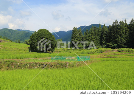 Aoni Village (Important Preservation District for Groups of Traditional Buildings) / [Hakuba Village, Nagano Prefecture] 105594209