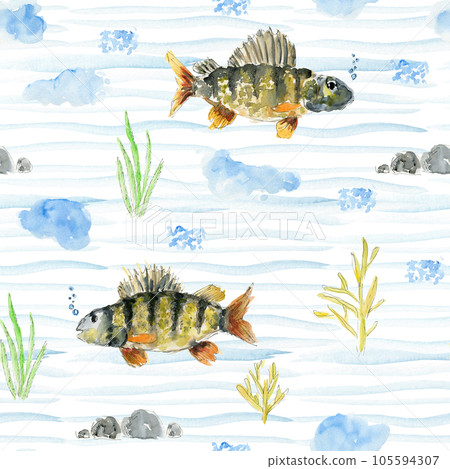 Watercolor seamless pattern of cute hand drawn perch fishes, sea weed, stones and water blobs and drops on wavy background. Watercolour texture for textile, wrapping paper, cover, nature surface Watercolor seamless pattern of cute hand drawn perch fishes, sea weed, stones and water blobs and drops on wavy background. Watercolour texture for textile, wrapping paper, cover, nature surface 105594307
