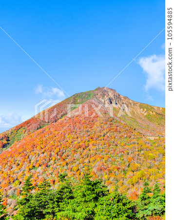 秋天攀登磐梯山:從赤羽山眺望磐梯山 秋天攀登磐梯山:從赤羽山眺望磐梯山 105594885