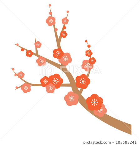 plum	 105595241