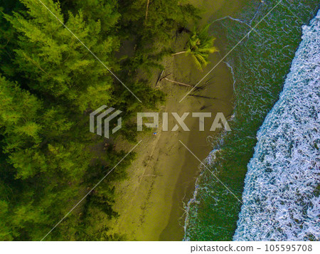 Top view of pine trees on the sandy beach with the sea waves in Pantai Bali, South West Aceh. Indonesia. 105595708