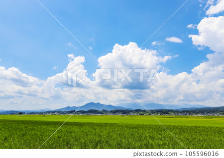 藏王與田園風光 藏王與田園風光 105596016