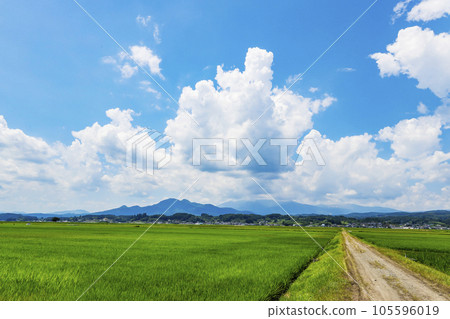 藏王與田園風光 105596019