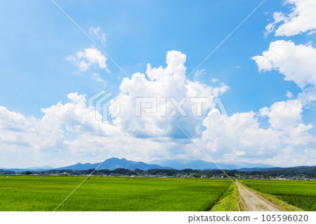 藏王與田園風光 105596020