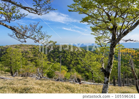 Scenery of Mt. Odaigahara wrapped in fresh green seen from Mt. Hijigatake 105596161