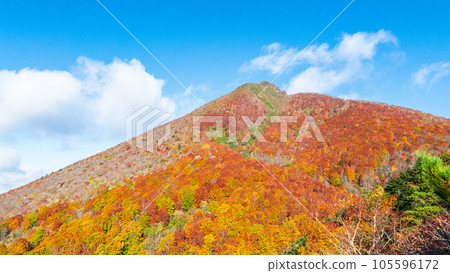 秋天攀登磐梯山:豬苗代起點~赤花山(登山道上眺望磐梯山) 秋天攀登磐梯山:豬苗代起點~赤花山(登山道上眺望磐梯山) 105596172