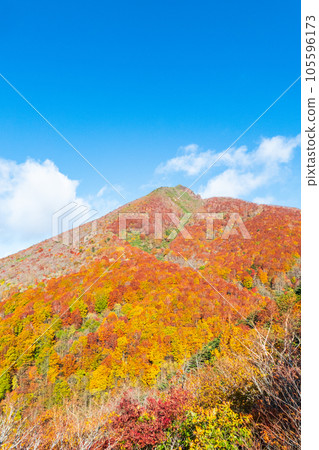 秋天攀登磐梯山:豬苗代起點~赤花山(登山道上眺望磐梯山) 秋天攀登磐梯山:豬苗代起點~赤花山(登山道上眺望磐梯山) 105596173