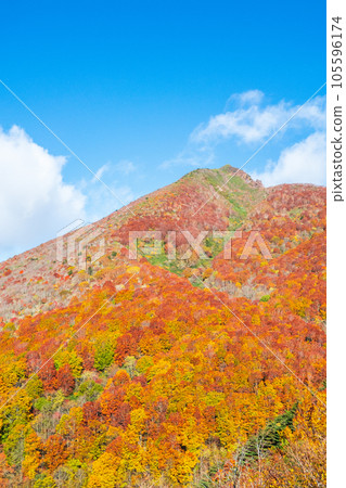 秋天攀登磐梯山:豬苗代起點~赤花山(登山道上眺望磐梯山) 秋天攀登磐梯山:豬苗代起點~赤花山(登山道上眺望磐梯山) 105596174