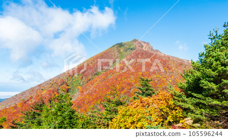 秋天攀登磐梯山:從赤羽山眺望磐梯山 秋天攀登磐梯山:從赤羽山眺望磐梯山 105596244