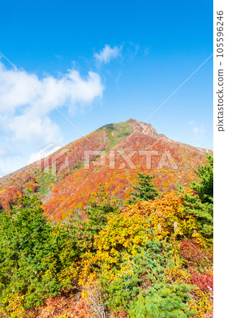 Autumn climbing Mt. Bandai: View of Mt. Bandai from Mt. Akahani 105596246