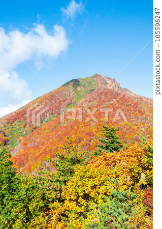 Autumn climbing Mt. Bandai: View of Mt. Bandai from Mt. Akahani 105596247