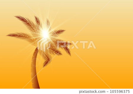 Golden palm tree natural landscape with sunlight, sun ray, and white clouds 105596375