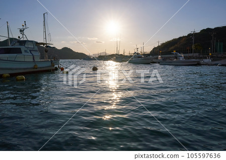 Evening fishing port Evening fishing port 105597636