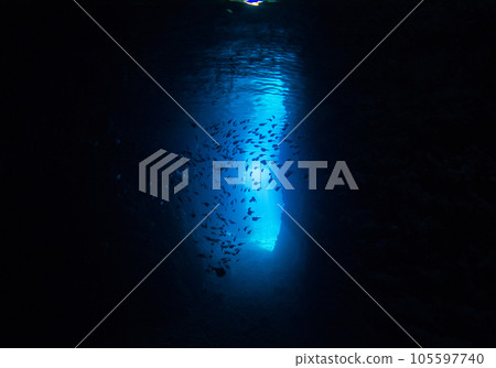 沖繩、恩納村、藍洞和一群Hatampo (silhouette.3 105597740