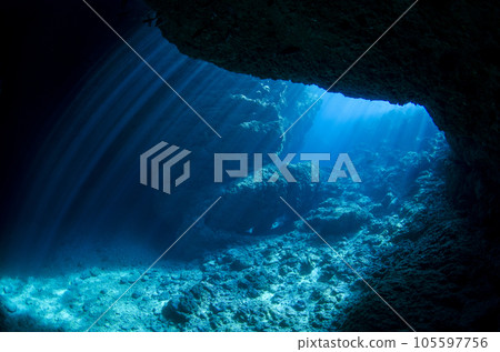 Okinawa, Onna village, blue cave, visible from the entrance, curtain of light.1 105597756