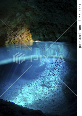 Okinawa, Onna village, sea and half water surface seen from the blue cave (vertical).13 105597773