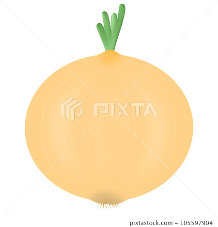 onion 105597904