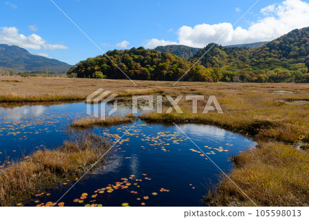 Mirror and autumn leaves 105598013