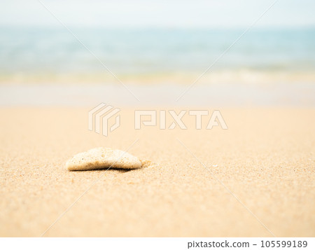 Stone on Sand with Wave Water Blue Sea Stone on Sand with Wave Water Blue Sea 105599189