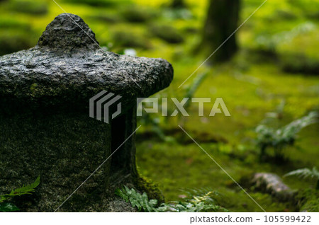 Vibrant green moss and artistic stone lanterns at Gio-ji Temple in Kyoto 105599422