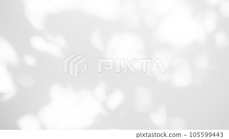 Abstract Background Shadow Leaves From window House Effect,Overlay Construction Concrete Grey Cement Wall backdrop,Premium Design Mock up Banner Card Poster for Presentation Atumn Season Concept. 105599443