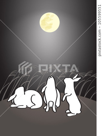 Midnight Rabbit (Silver) 105599551