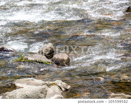 Chikusa River murmuring in summer (August). Located in Sayo-cho, Sayo-gun, Hyogo Prefecture. 105599582